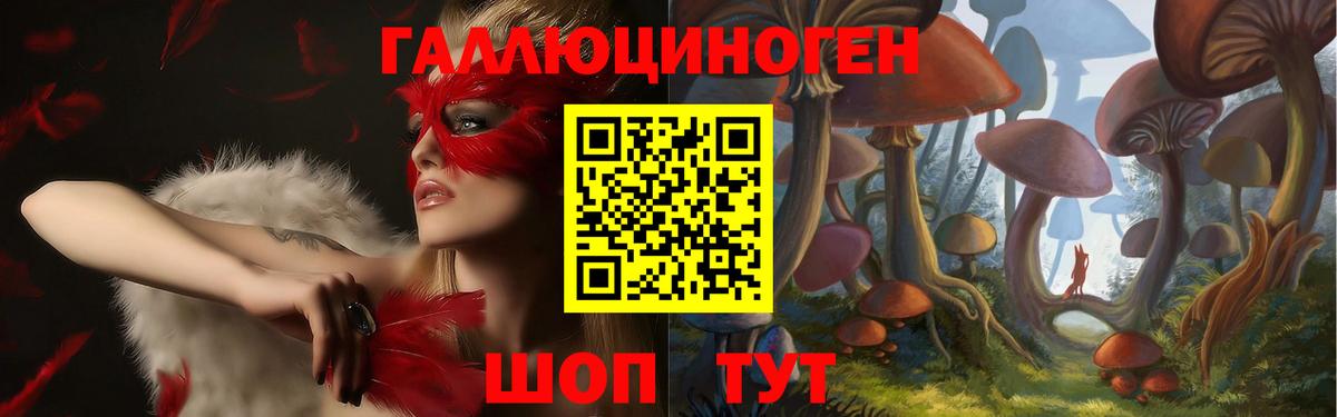 Барабинск  Псилоцибиновые грибы прущие грибы  Вход с VPN 